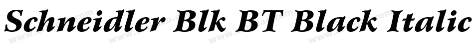 Schneidler Blk BT Black Italic字体转换